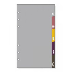 Recambios para agendas RECAMBIO AGENDA FINOCAM C963 CLASSIC 609 94x171 5 GUIAS PLASTICAS