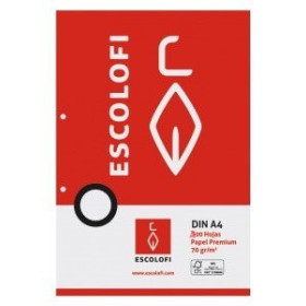 Recambio 2 taladros RECAMBIO ESCOLOFI A4 500h 70gr 2 TALADROS PAUTA 3 C/MARGEN