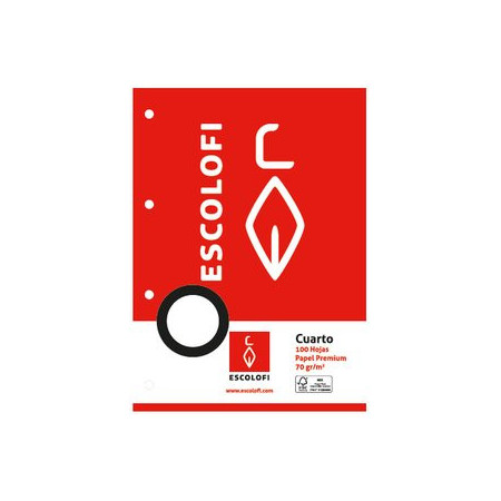 Recambio 4 taladros RECAMBIO ESCOLOFI 4º 100h 70gr 4 TALADROS MONTESSORI PAUTA 3