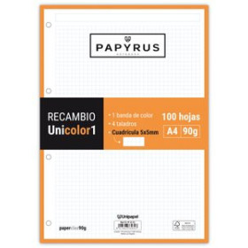 Recambio 4 taladros RECAMBIO PAPYRUS UNICOLOR1 A4 100h 90g 4 TALADROS CUAD.5x5 NARANJA