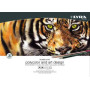 Lápices de colores SET LYRA REMBRANDT POLYCOLOR & ART DESING ESTUCHE MADERA DE 30pz