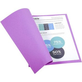 Subcarpetas SUBCARPETA EXACOMPTA FOREVER 180 170g A4 VIOLETA PAQUETE de 100