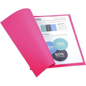 Subcarpetas SUBCARPETA EXACOMPTA FOREVER 250 220g A4 FUCSIA PAQUETE de 100