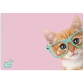 Vades y accesorios sobremesa VADE SOBREMESA ERIK ESCOLAR 35x49 STUDIO PETS CAT "CAMERA"