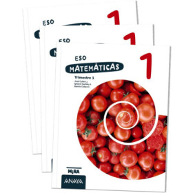 ESO 1 - MATEMATICAS - MIRA JEYJO